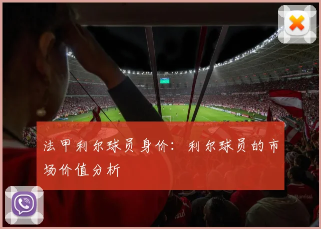 法甲利尔球员身价：利尔球员的市场价值分析