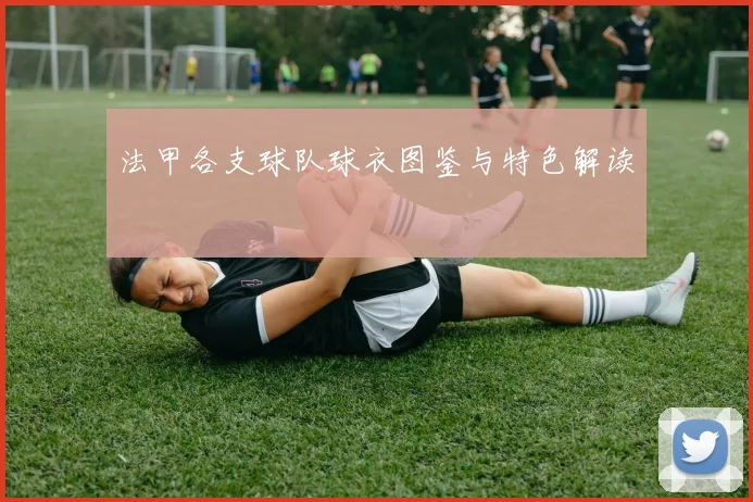 法甲各支球队球衣图鉴与特色解读