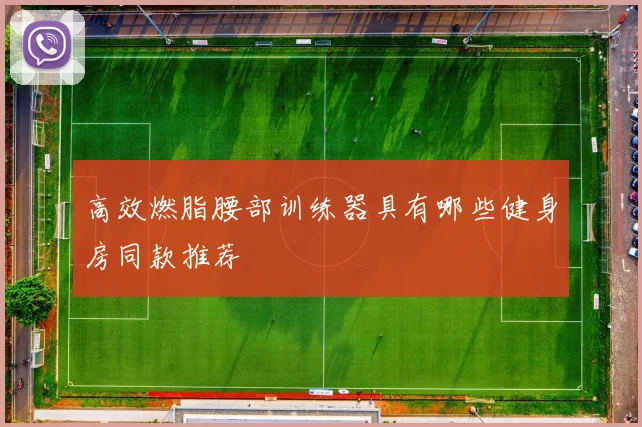 高效燃脂腰部训练器具有哪些健身房同款推荐