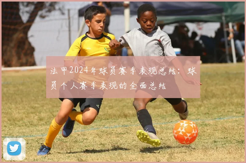 法甲2024年球员赛季表现总结：球员个人赛季表现的全面总结