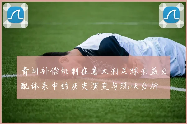 青训补偿机制在意大利足球利益分配体系中的历史演变与现状分析