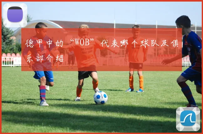 德甲中的“WOB”代表哪个球队及俱乐部介绍