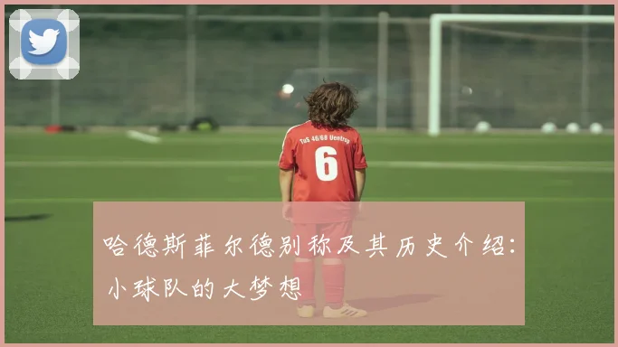 哈德斯菲尔德别称及其历史介绍：小球队的大梦想