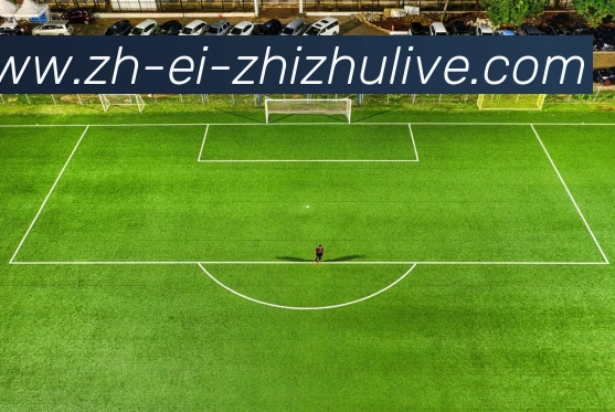 蜘蛛直播发展历程