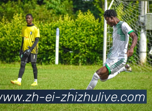 足球报点评CBA联赛表现